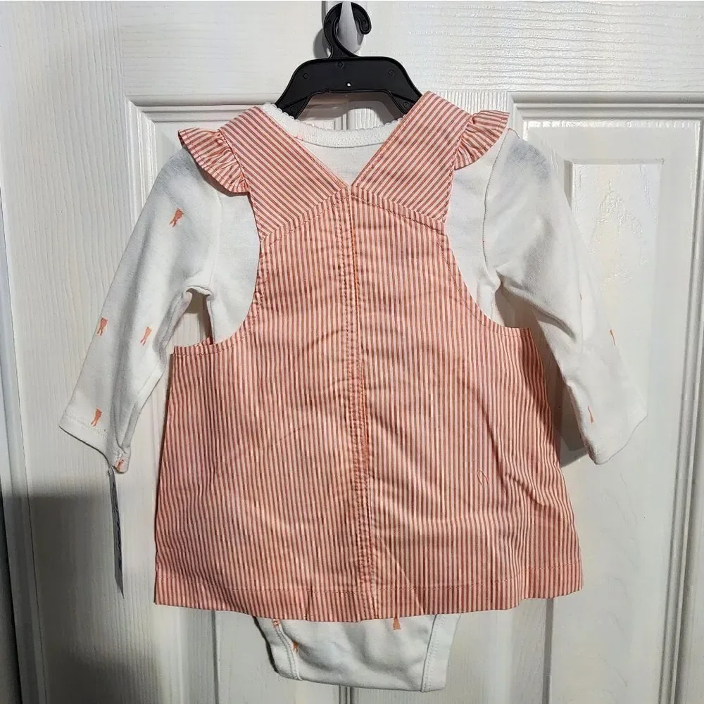 Carter's Child of Mine Baby Girl Easter Bunny Dress Overall Set, 2-Piece
